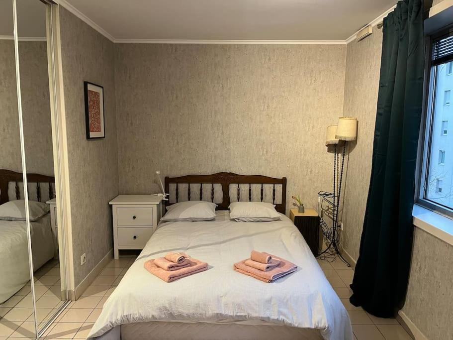 Le Clos Du Chateau Rouge 3* Avec Parking Securise Annemasse Exterior photo