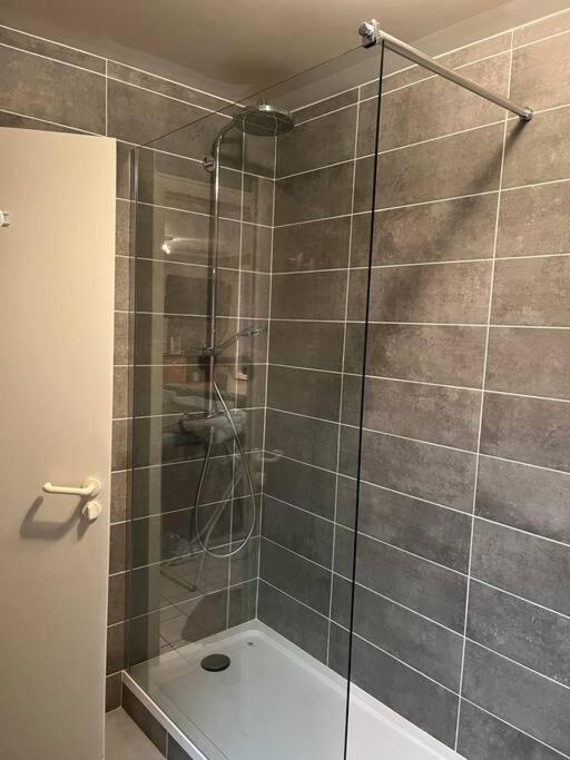Le Clos Du Chateau Rouge 3* Avec Parking Securise Annemasse Exterior photo
